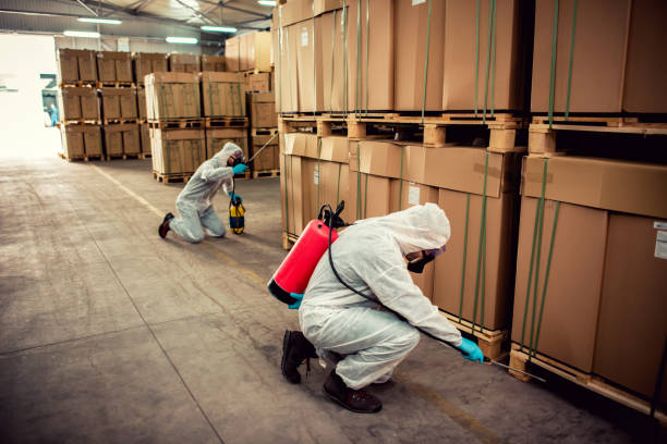 Best Pest Prevention Services  in Rosepine, LA