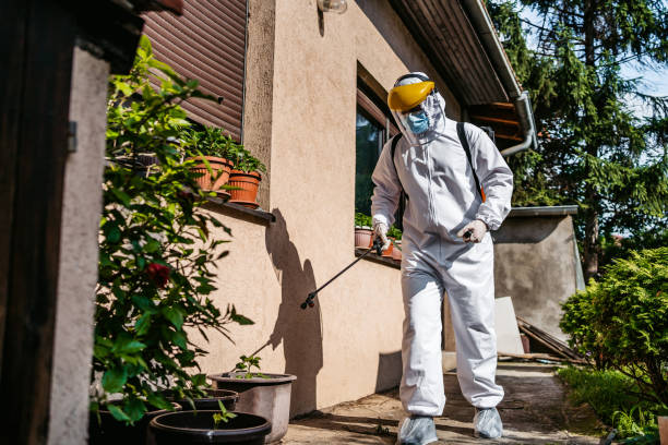 Best Termite Control Services  in Rosepine, LA