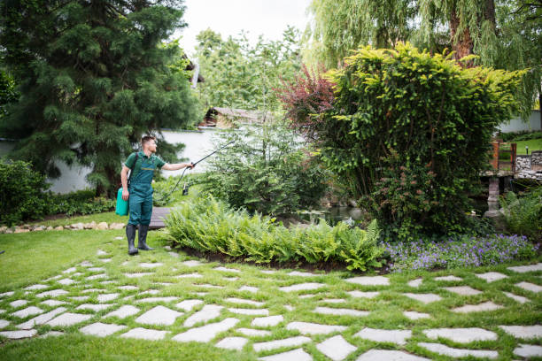 Best Pest Control for Businesses  in Rosepine, LA