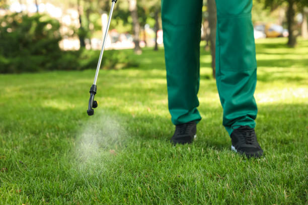 Best Commercial Pest Control Services  in Rosepine, LA