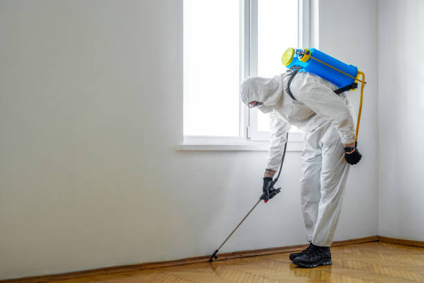 Best Best Pest Control Companies  in Rosepine, LA
