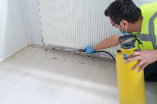Best Flea Control Services  in Rosepine, LA